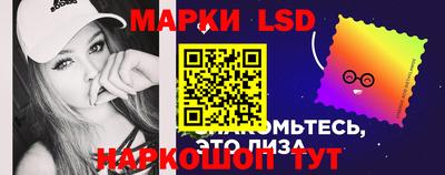 мдпв Владимир