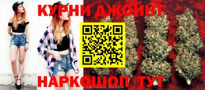 мдпв Владимир