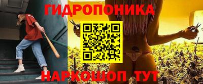 мдпв Владимир