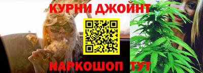 мдпв Владимир