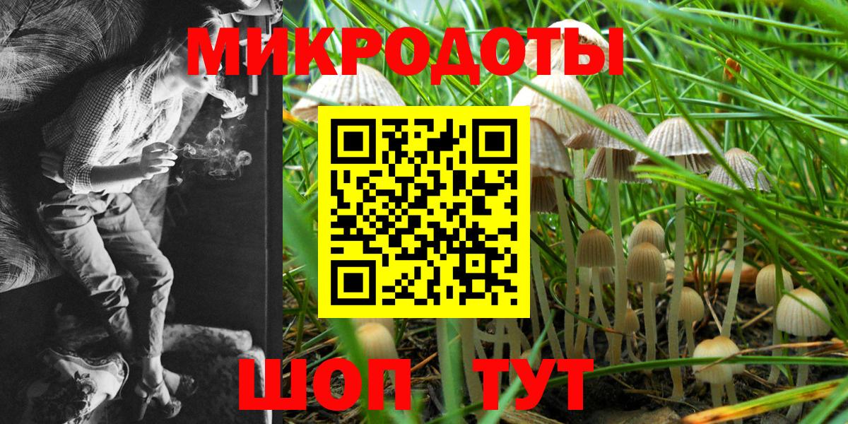Галлюциногенные грибы Cubensis Кольчугино
